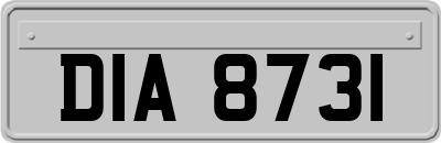DIA8731