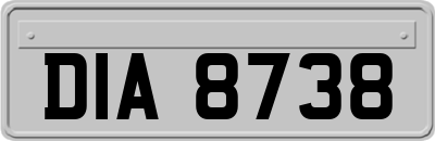 DIA8738
