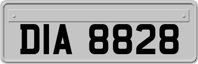 DIA8828