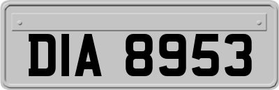 DIA8953