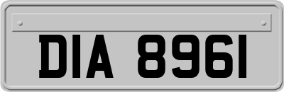 DIA8961