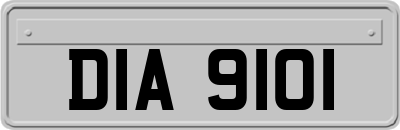 DIA9101