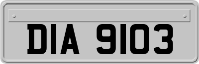 DIA9103