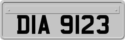 DIA9123