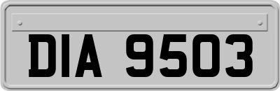 DIA9503