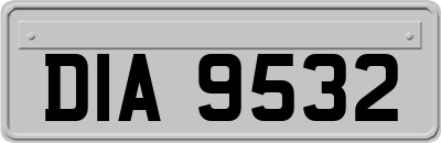 DIA9532
