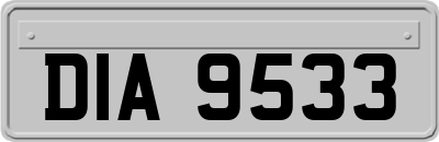 DIA9533