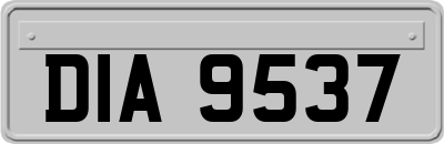DIA9537