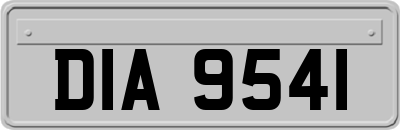 DIA9541