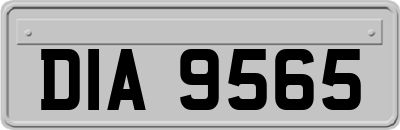 DIA9565