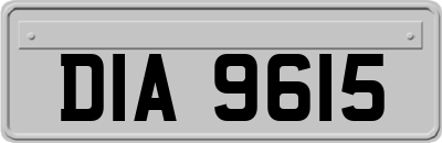 DIA9615