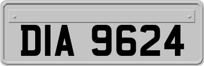 DIA9624