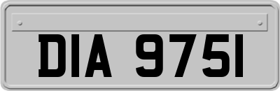 DIA9751