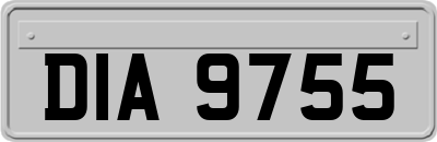 DIA9755