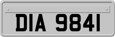DIA9841
