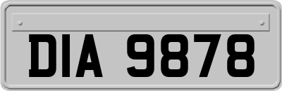 DIA9878