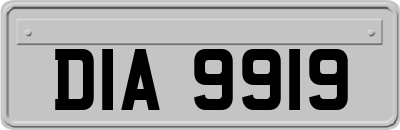 DIA9919