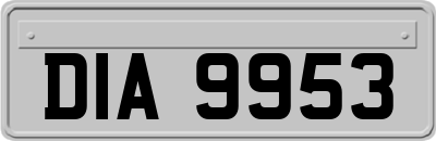 DIA9953