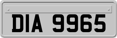 DIA9965