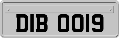 DIB0019
