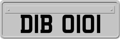 DIB0101
