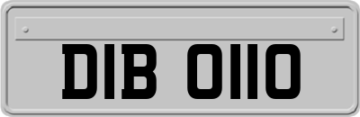 DIB0110