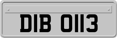 DIB0113