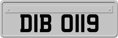 DIB0119
