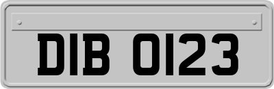 DIB0123