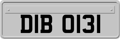 DIB0131