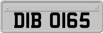 DIB0165