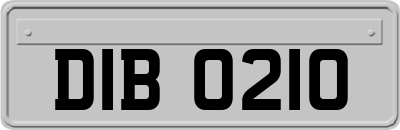 DIB0210