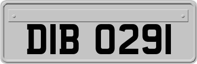 DIB0291