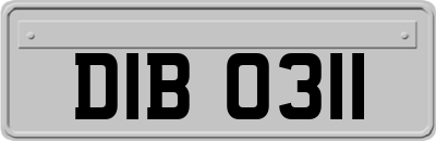 DIB0311