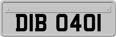 DIB0401