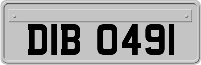 DIB0491
