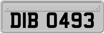 DIB0493