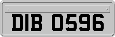 DIB0596