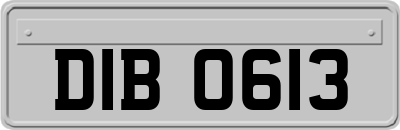 DIB0613