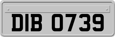 DIB0739