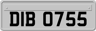 DIB0755