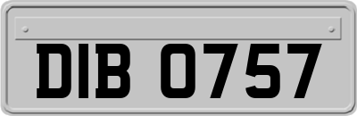 DIB0757