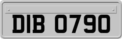DIB0790