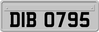DIB0795