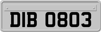 DIB0803