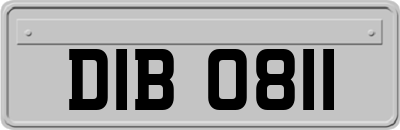 DIB0811