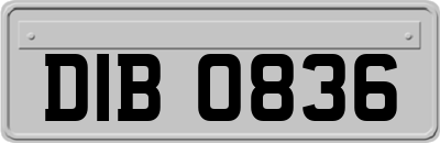 DIB0836
