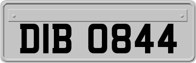 DIB0844