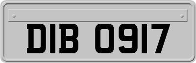 DIB0917