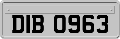 DIB0963